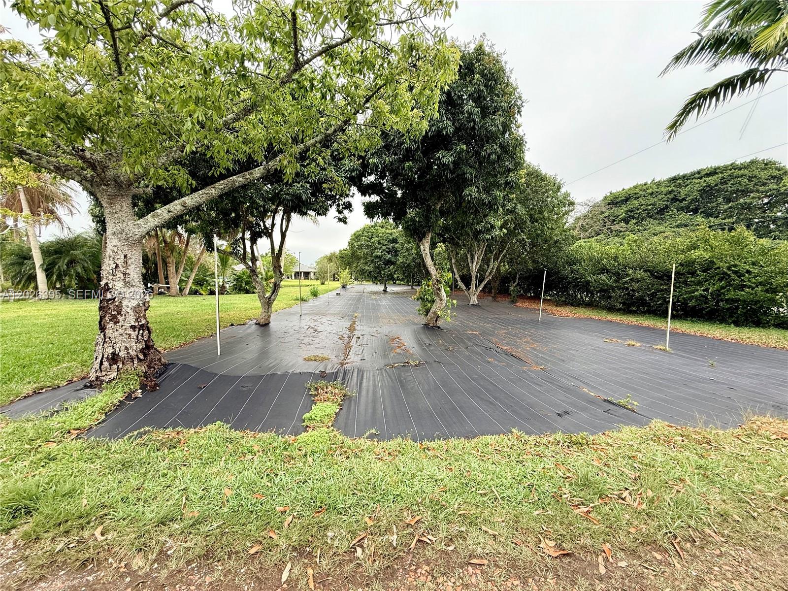 A12026395 Property Photo 37