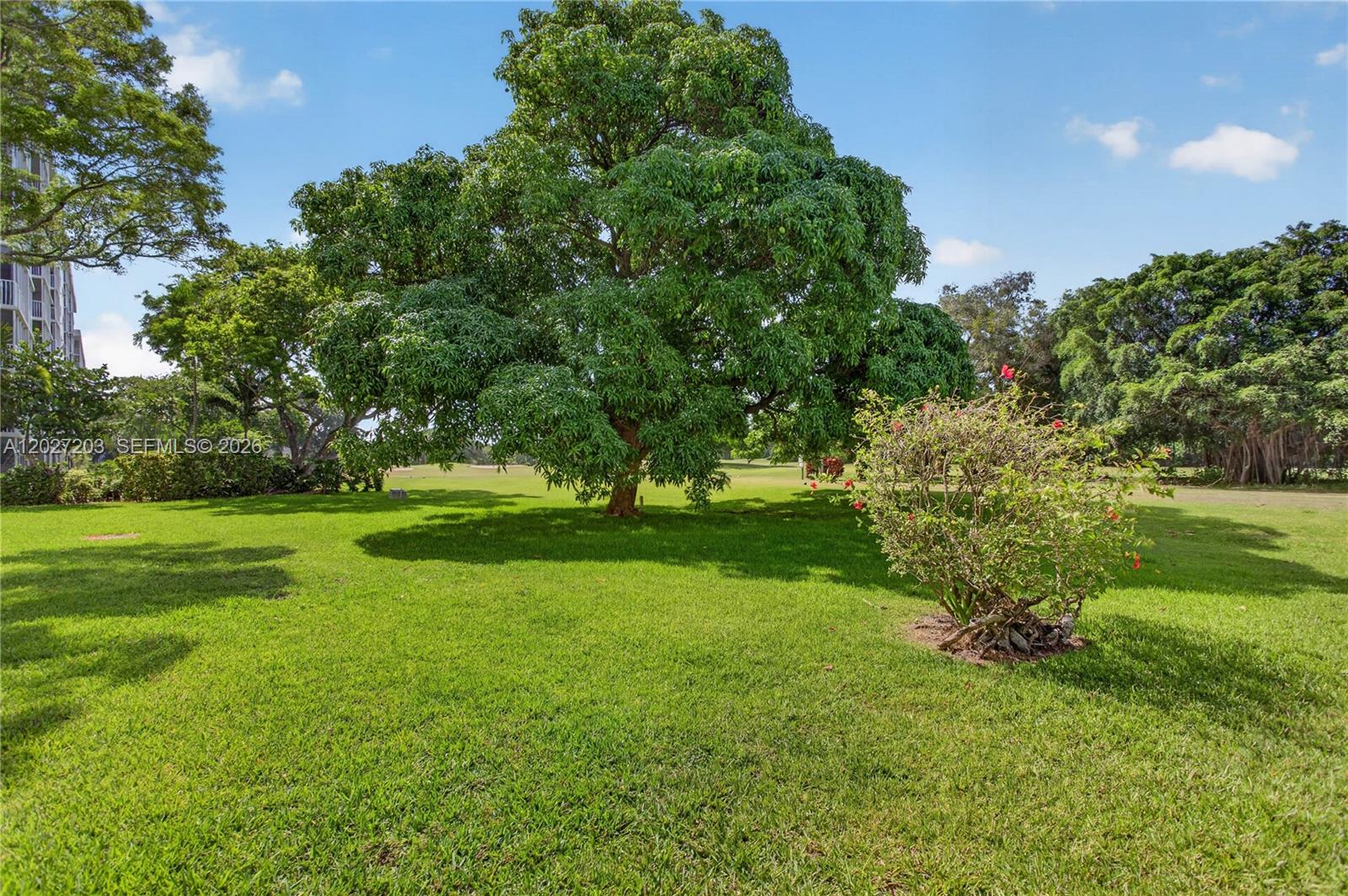 A12027203 Property Photo 36