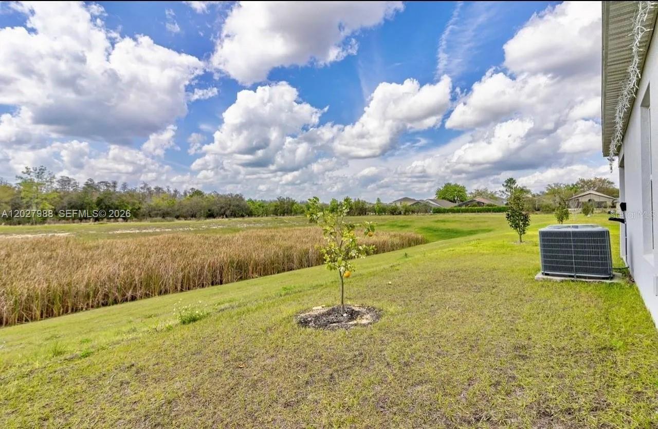 1136 Papaya Circle Property Photo 6