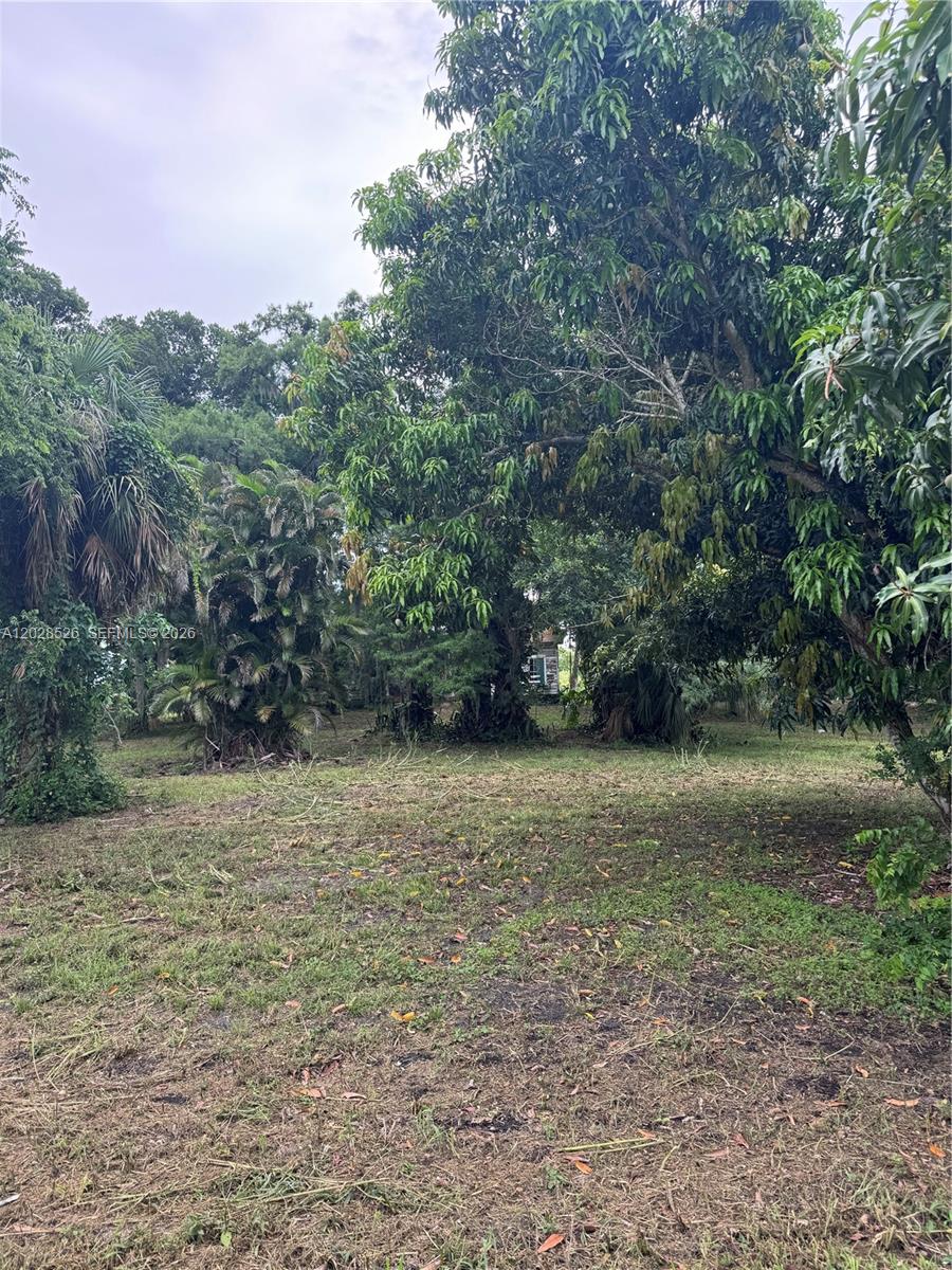 19121 Sw Conners Highway Property Photo 3