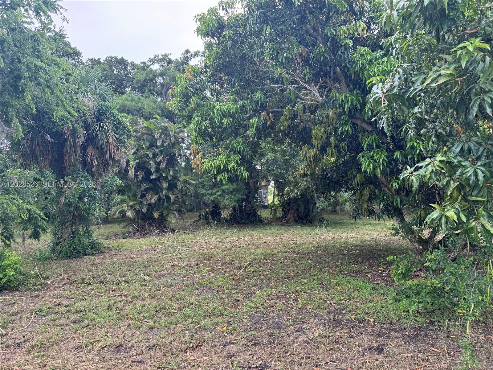 19121 Sw Conners Highway Property Photo 4