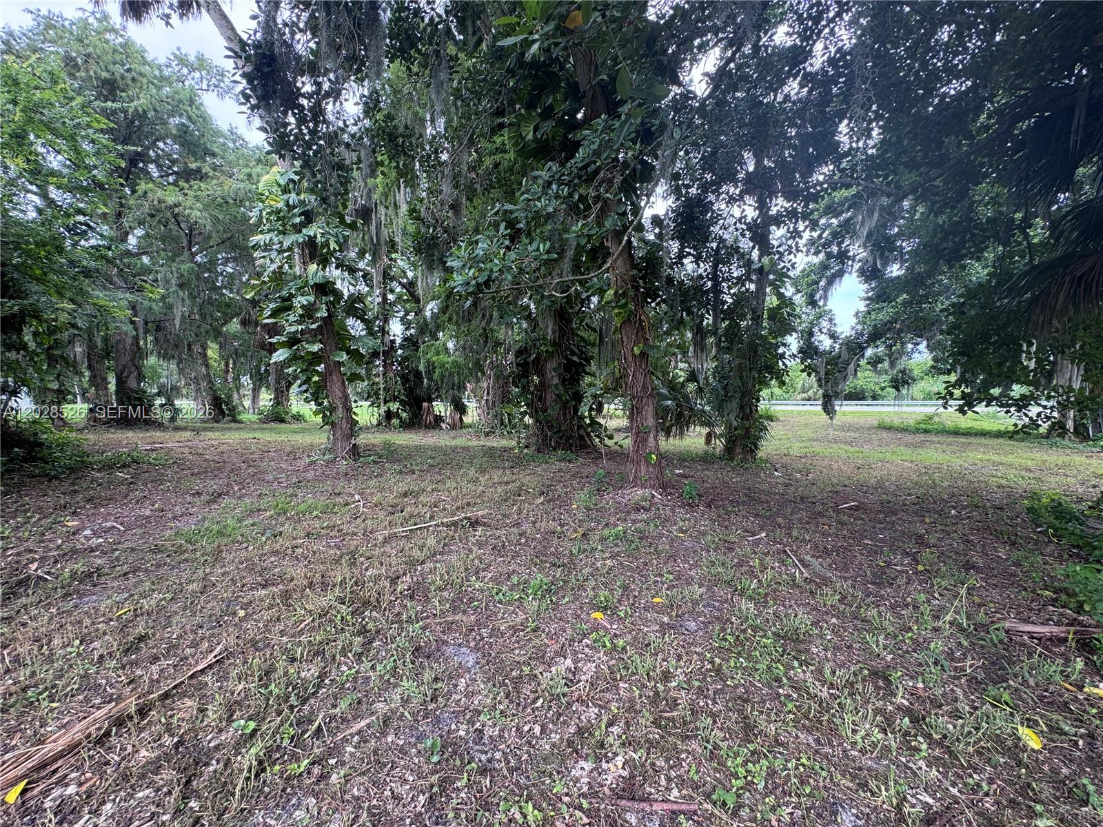19121 Sw Conners Highway Property Photo 10