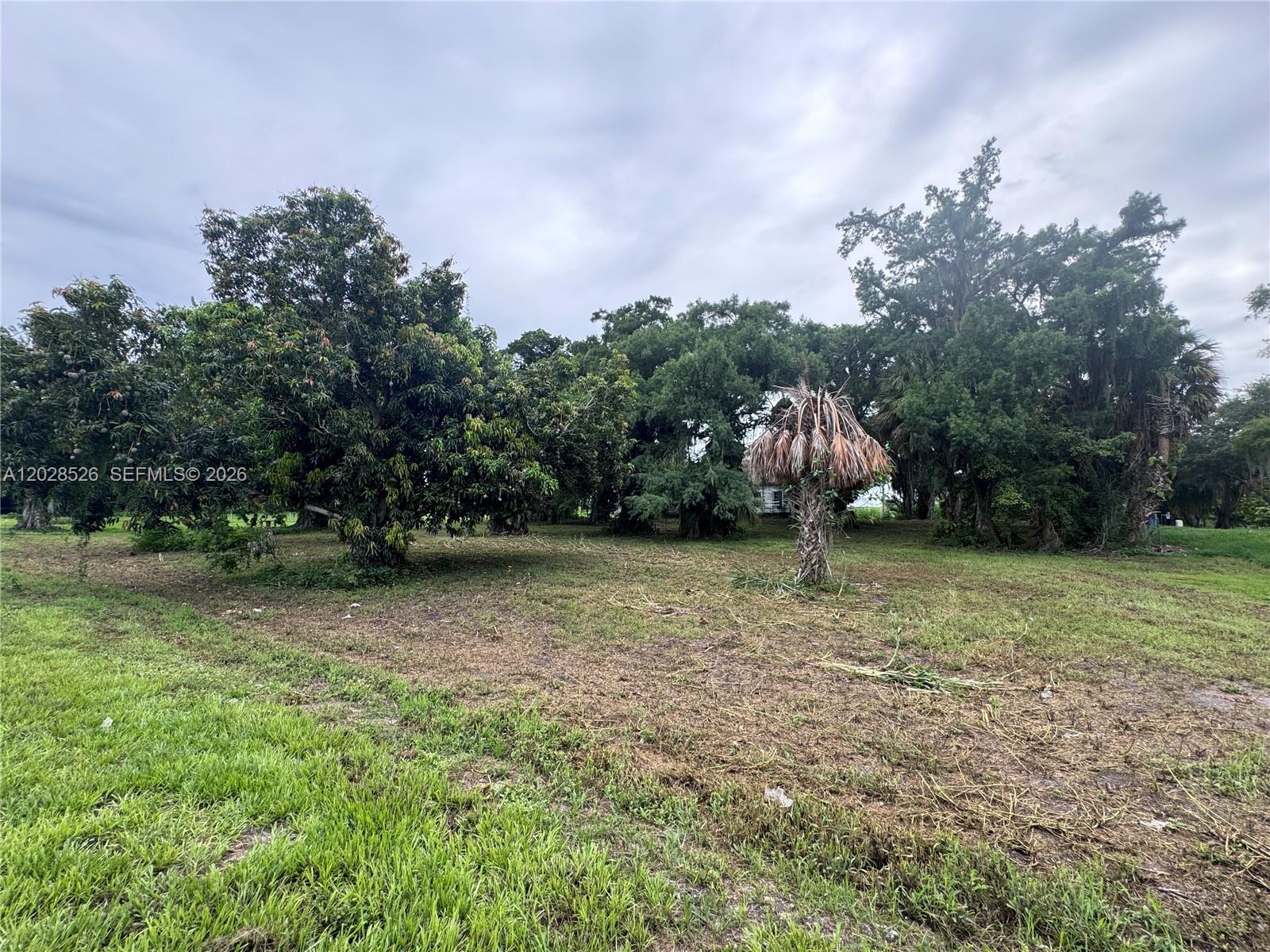 19121 Sw Conners Highway Property Photo 13