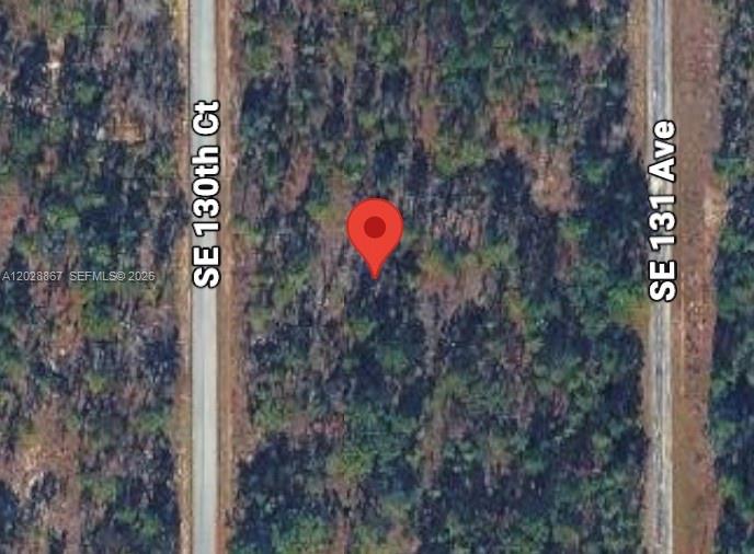 Lot 49 Se Lot 49 130th Court Property Photo 2