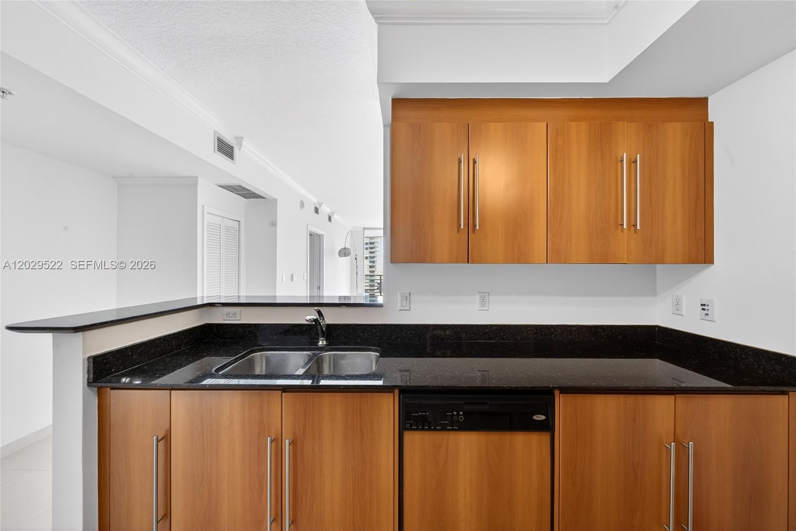 325 S Biscayne Boulevard 2219 Property Photo 29