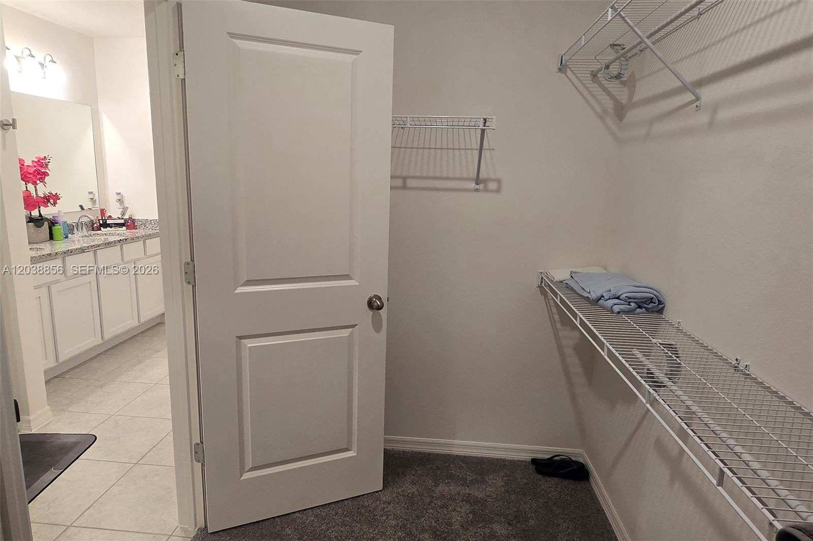 5539 Maddie Drive Property Photo 26