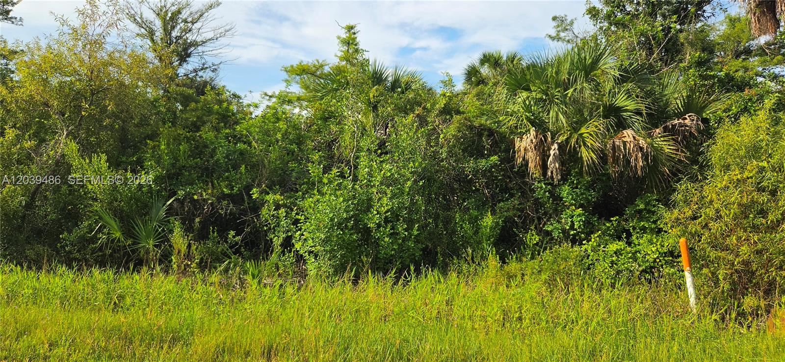 Xxxx Ne Xxxx 45th Avenue Property Photo 4