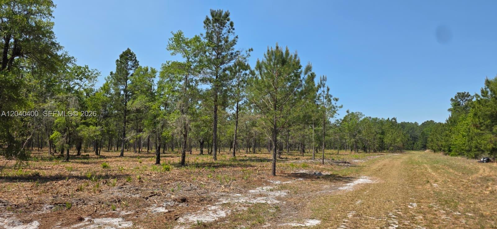 Xx Se Xx 225th Drive Property Photo 3