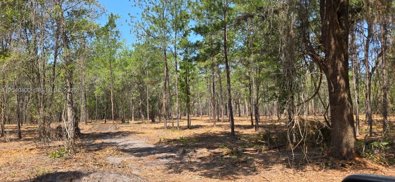 Xx Se Xx 225th Drive Property Photo 4