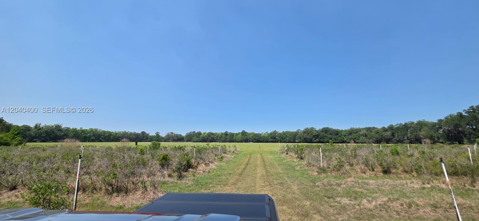 Xx Se Xx 225th Drive Property Photo 9