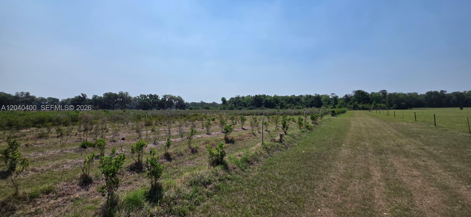 Xx Se Xx 225th Drive Property Photo 10