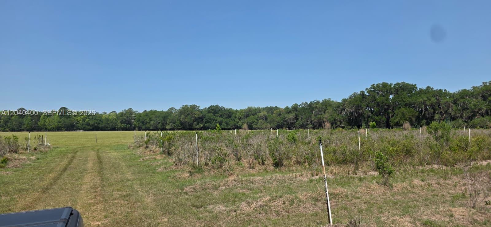 Xx Se Xx 225th Drive Property Photo 11