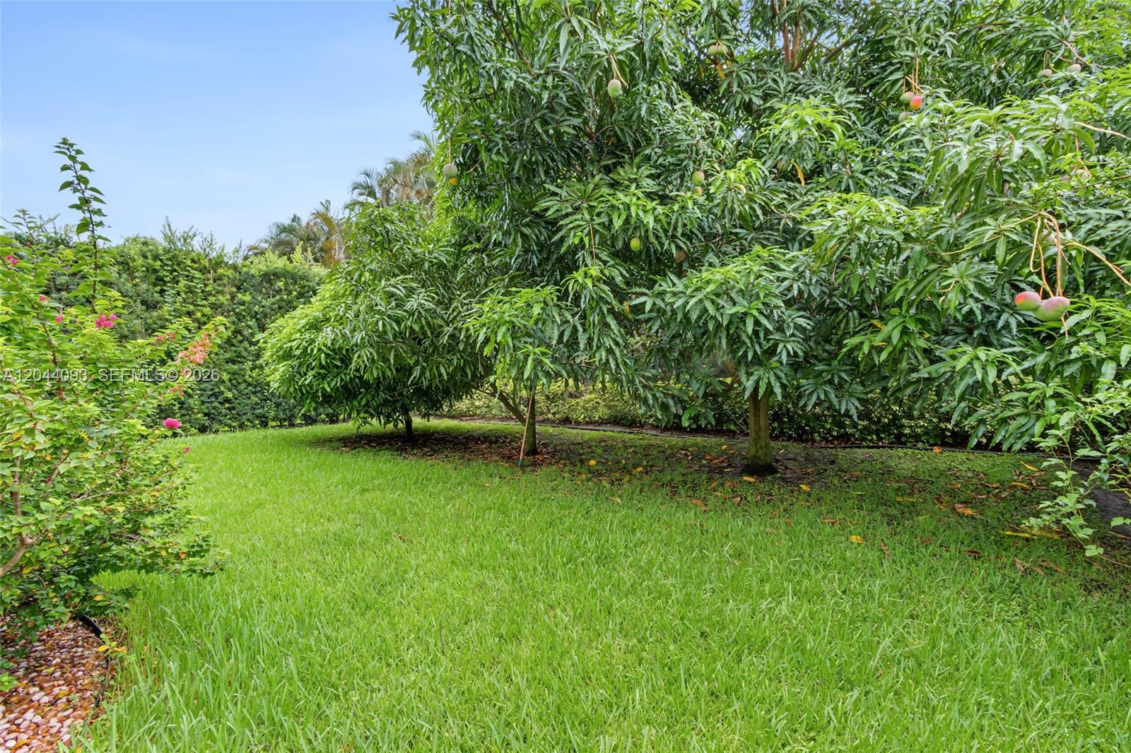 4200 Key Lime Boulevard Property Photo 36