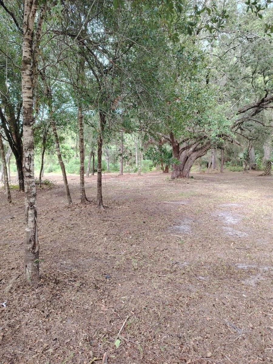 175 Avenida Del Club