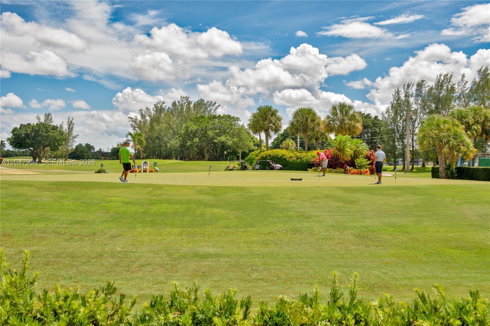 A12047994 Property Photo 10
