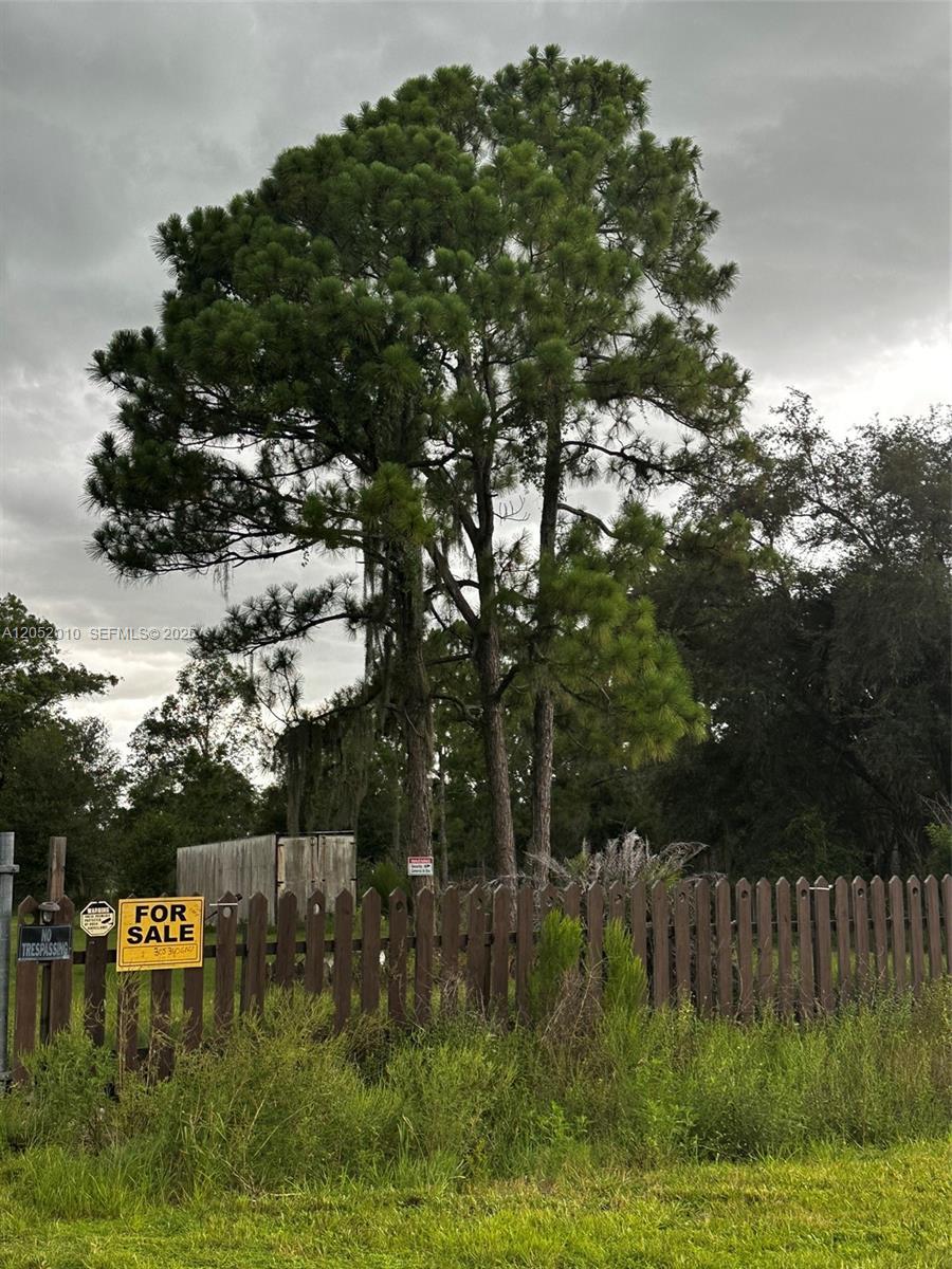450 N Isora Property Photo 45