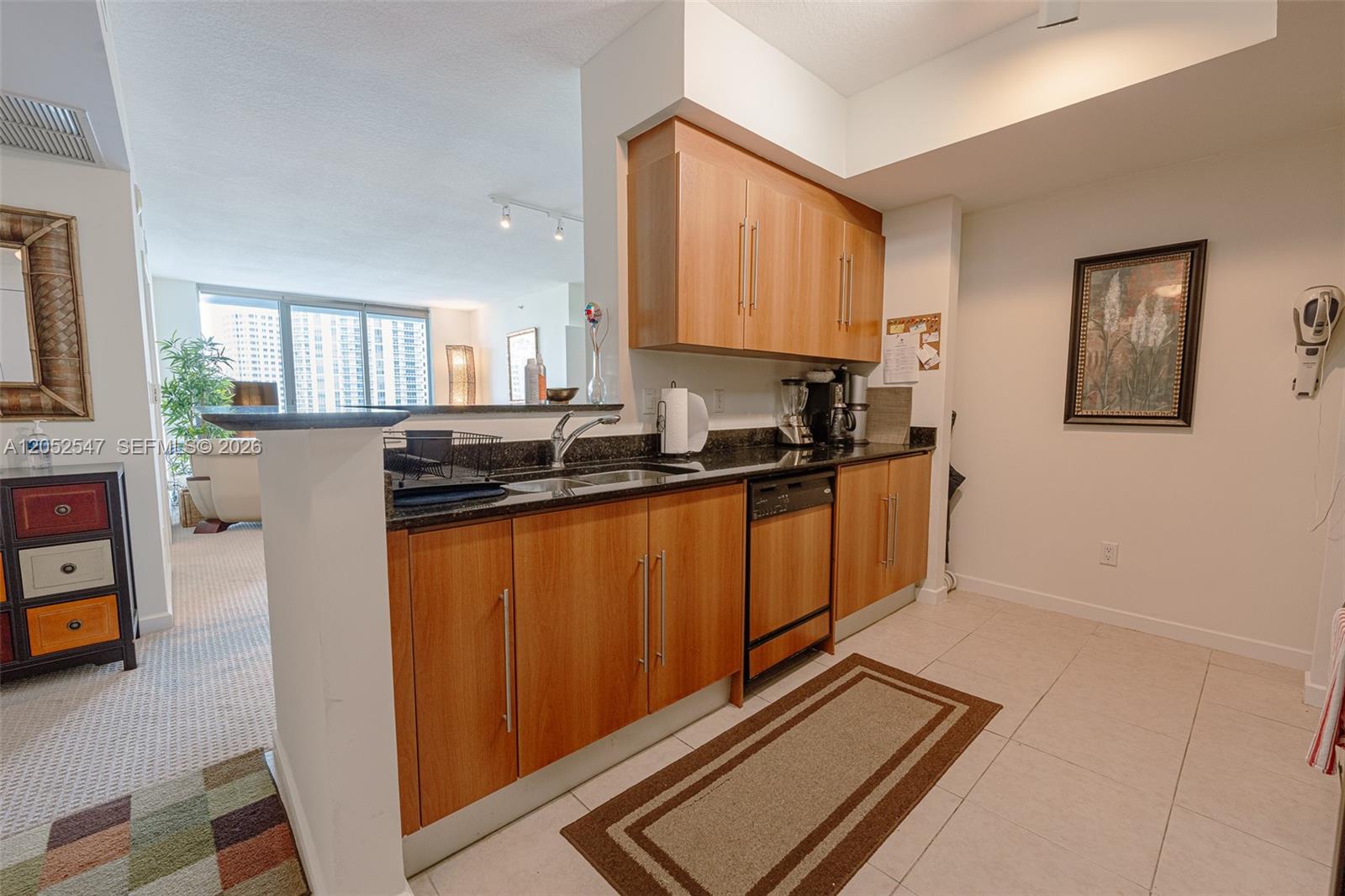 325 S Biscayne Boulevard 2119 Property Photo 19