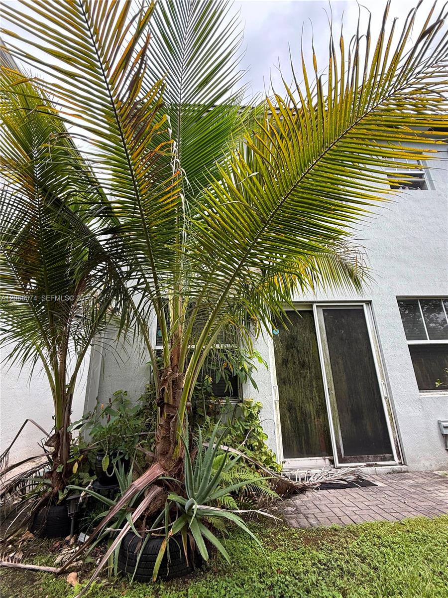A12055874 Property Photo 3
