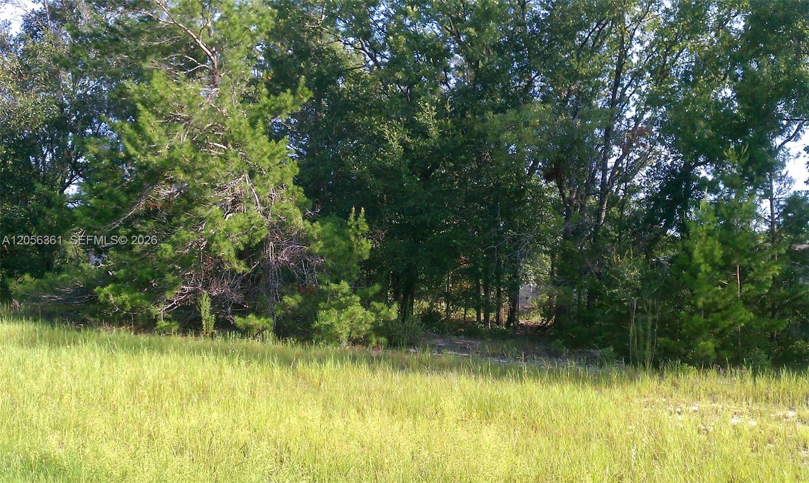 0 0 Property Photo 9