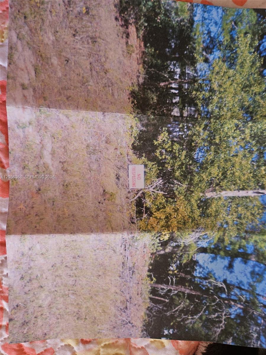 0 0 Property Photo 11
