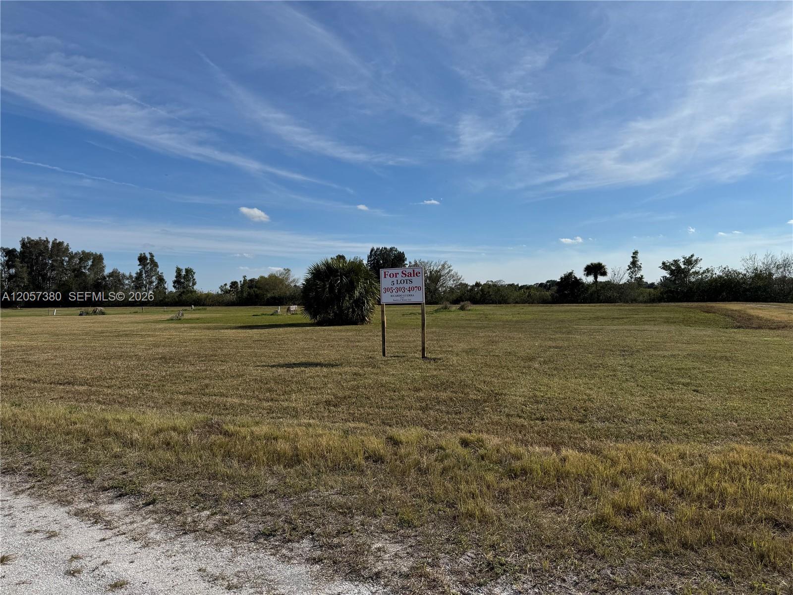 987 Watson Way Property Photo 1