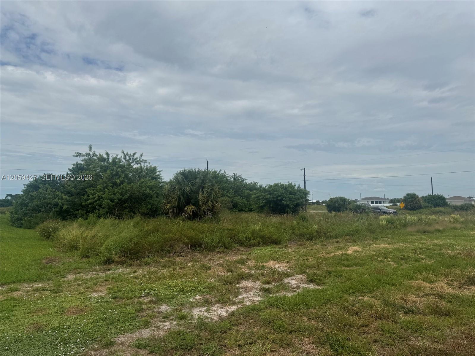 501 Ella Jean Place Property Photo 3