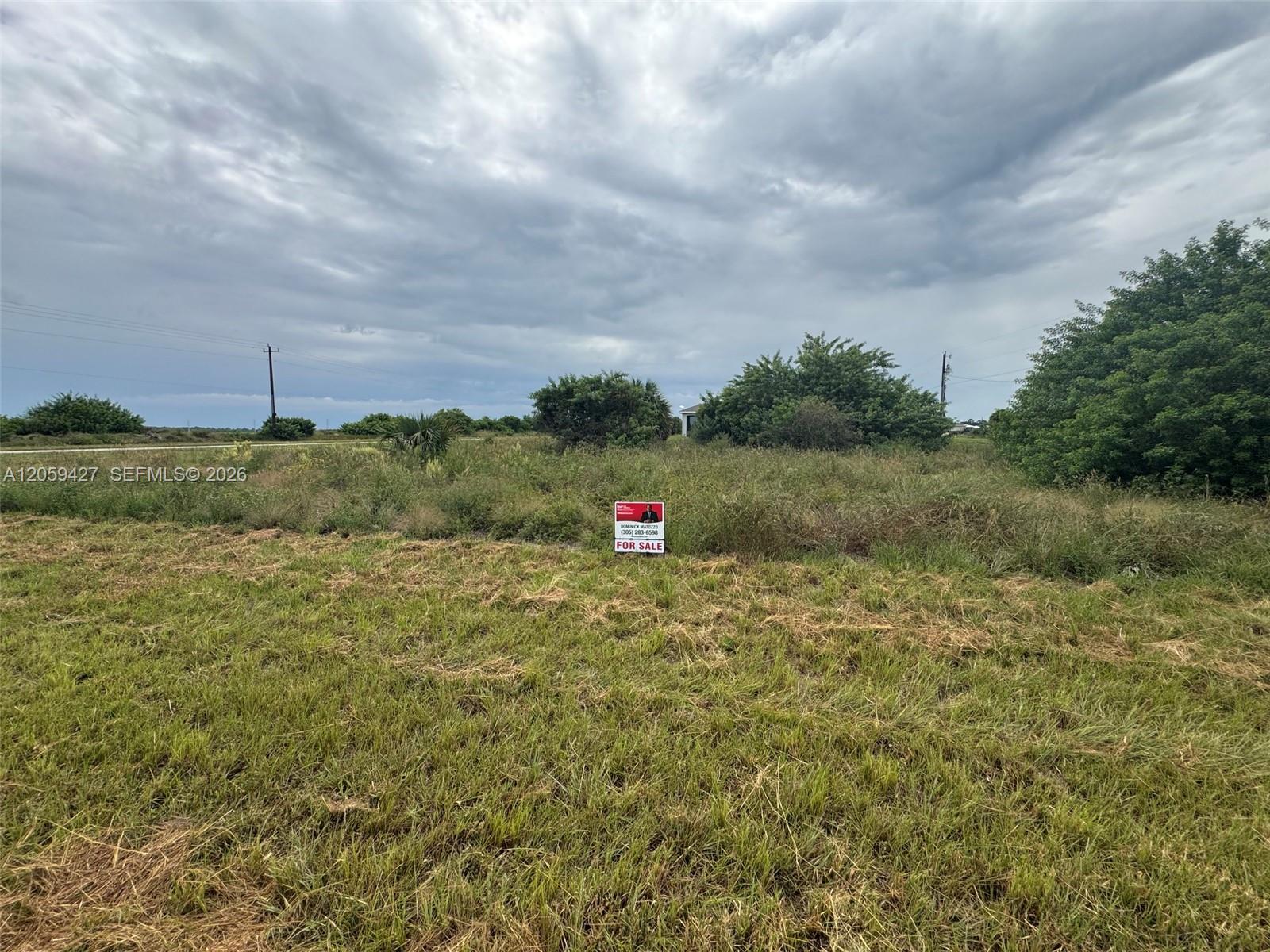 501 Ella Jean Place Property Photo 7