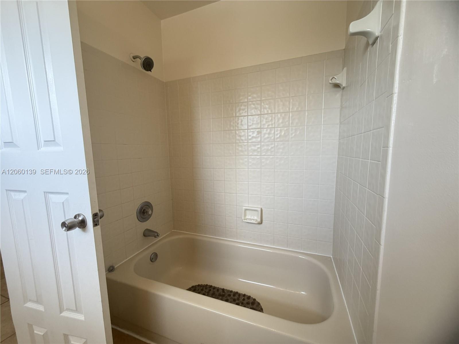309 W Hemingway Circle Property Photo 29