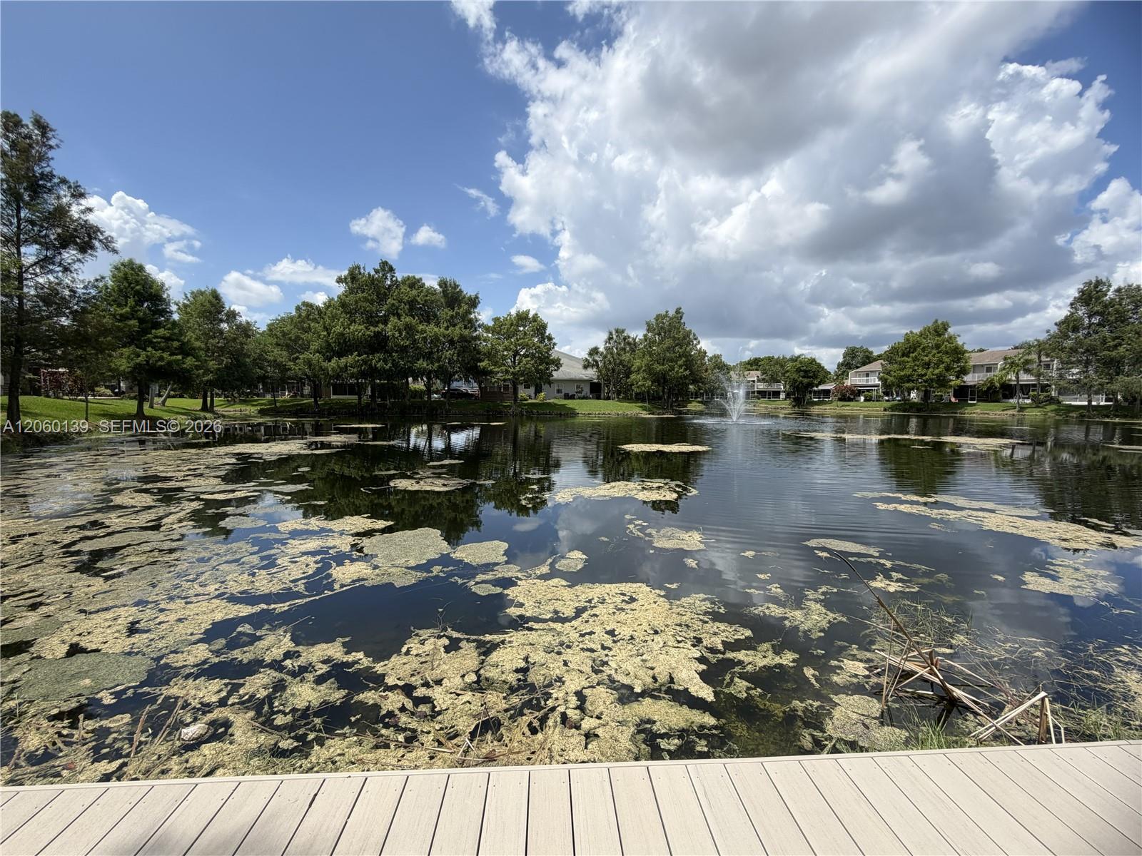 309 W Hemingway Circle Property Photo 40