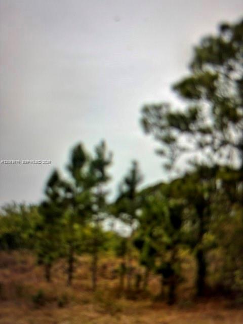A12061679 Property Photo 3