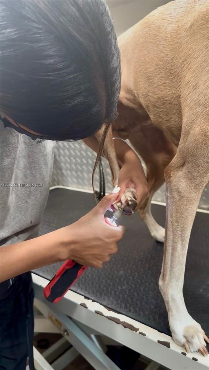 Mobile Pet Grooming Property Photo 8