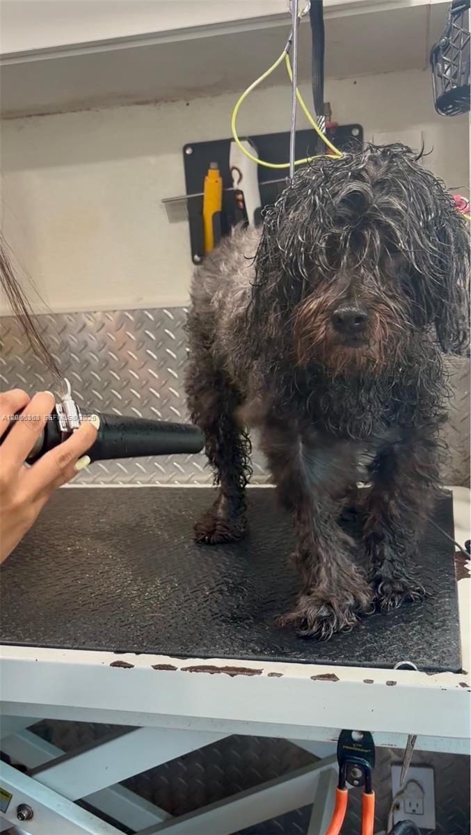Mobile Pet Grooming Property Photo 9