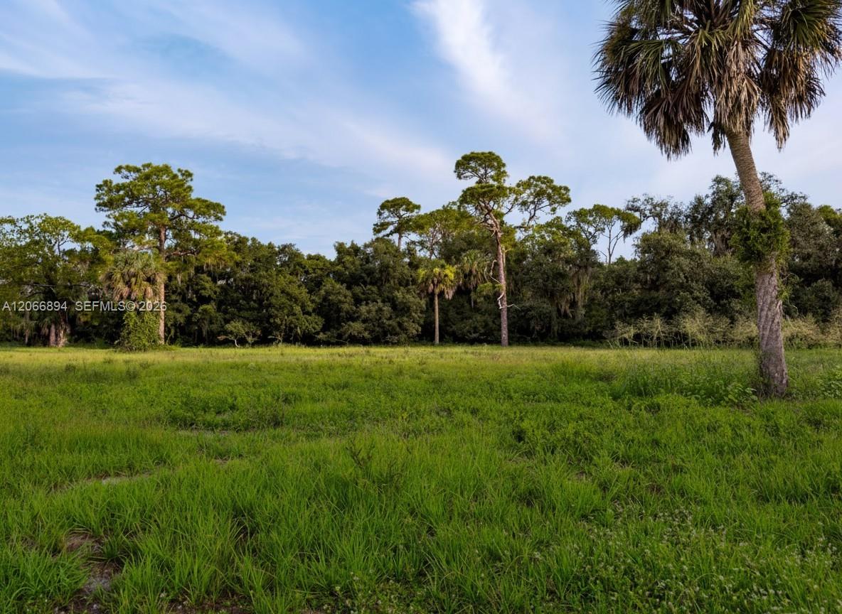 3291 Fort Denaud Road Property Photo 2