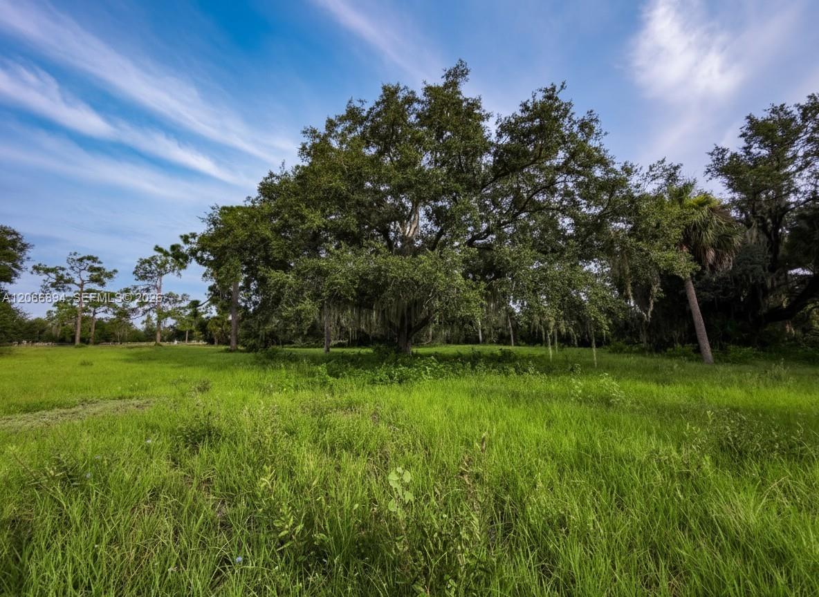 3291 Fort Denaud Road Property Photo 3
