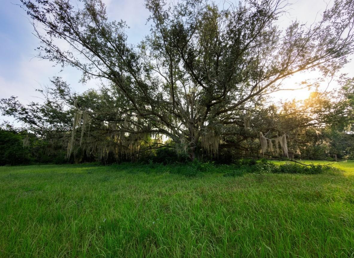 3291 Fort Denaud Road Property Photo 4