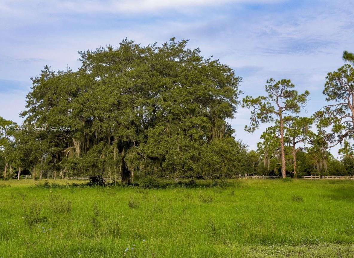 3291 Fort Denaud Road Property Photo 5