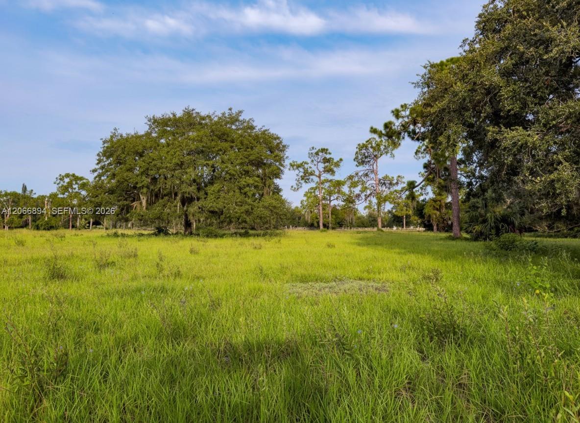 3291 Fort Denaud Road Property Photo 6