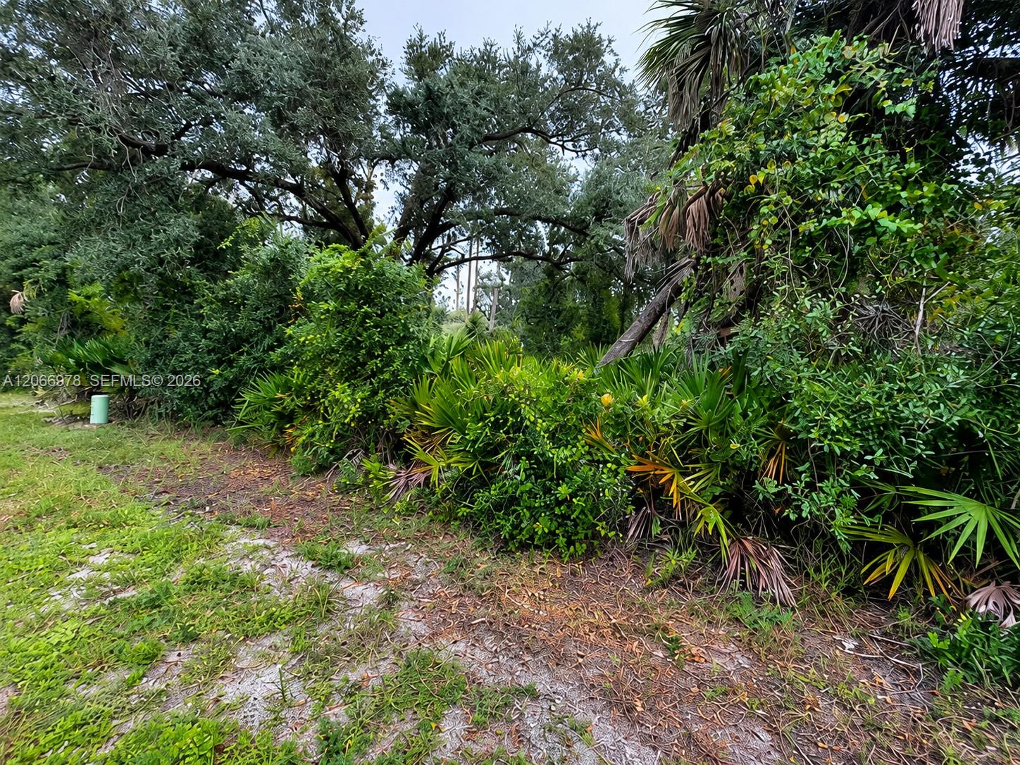 2312 Dodge Street Property Photo 2