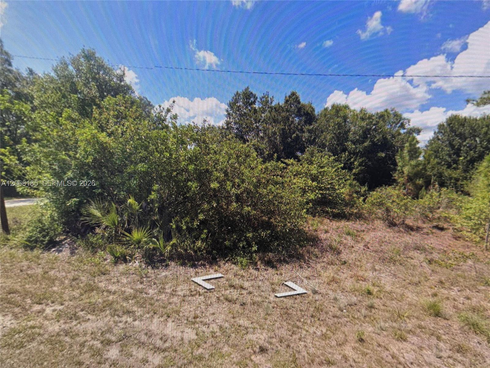 900 Michael Avenue Property Photo 4