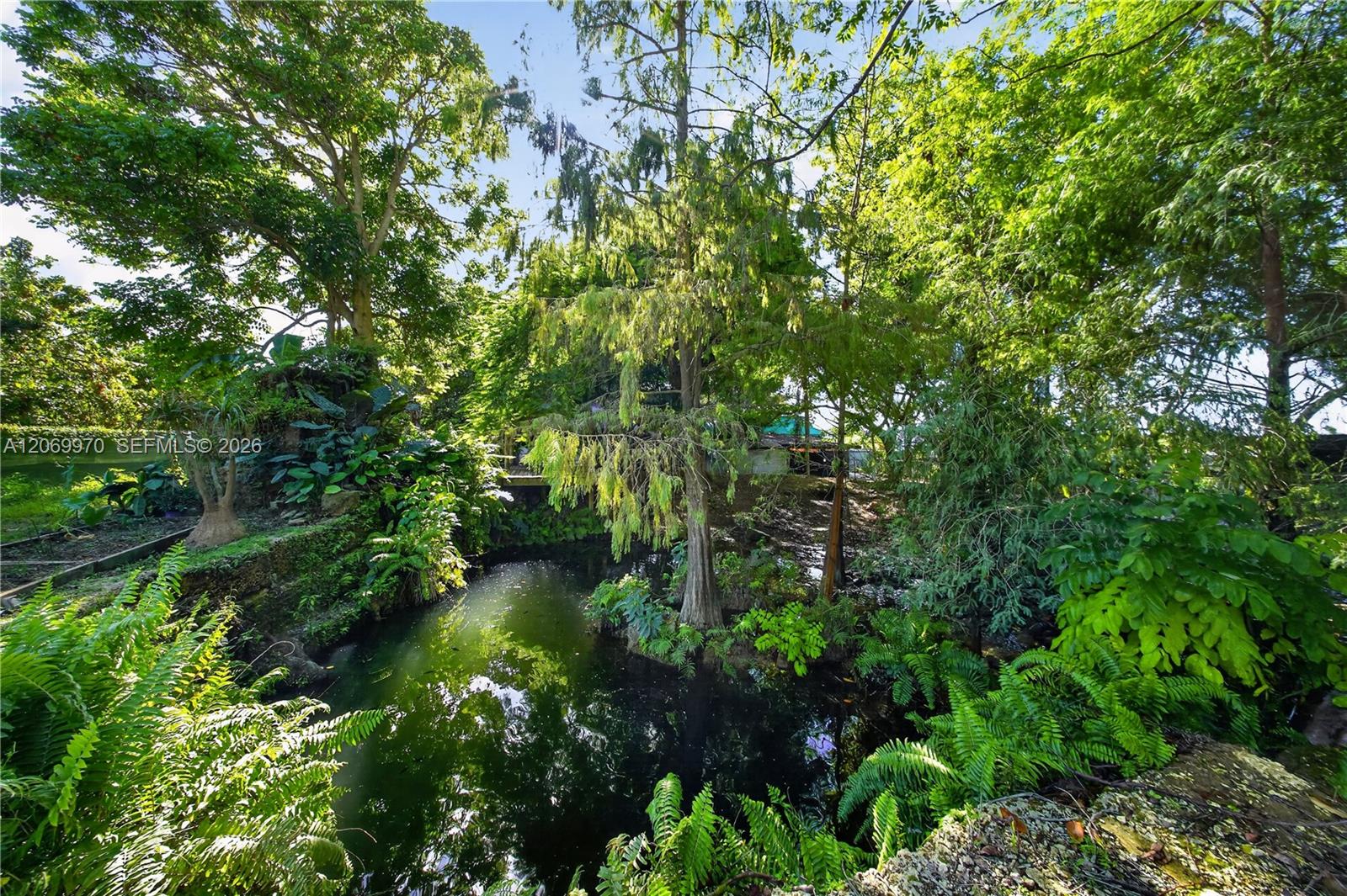 A12069970 Property Photo 4