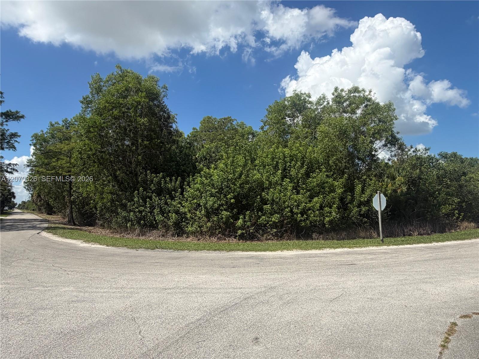 19556 Black Falcon Road Property Photo 3