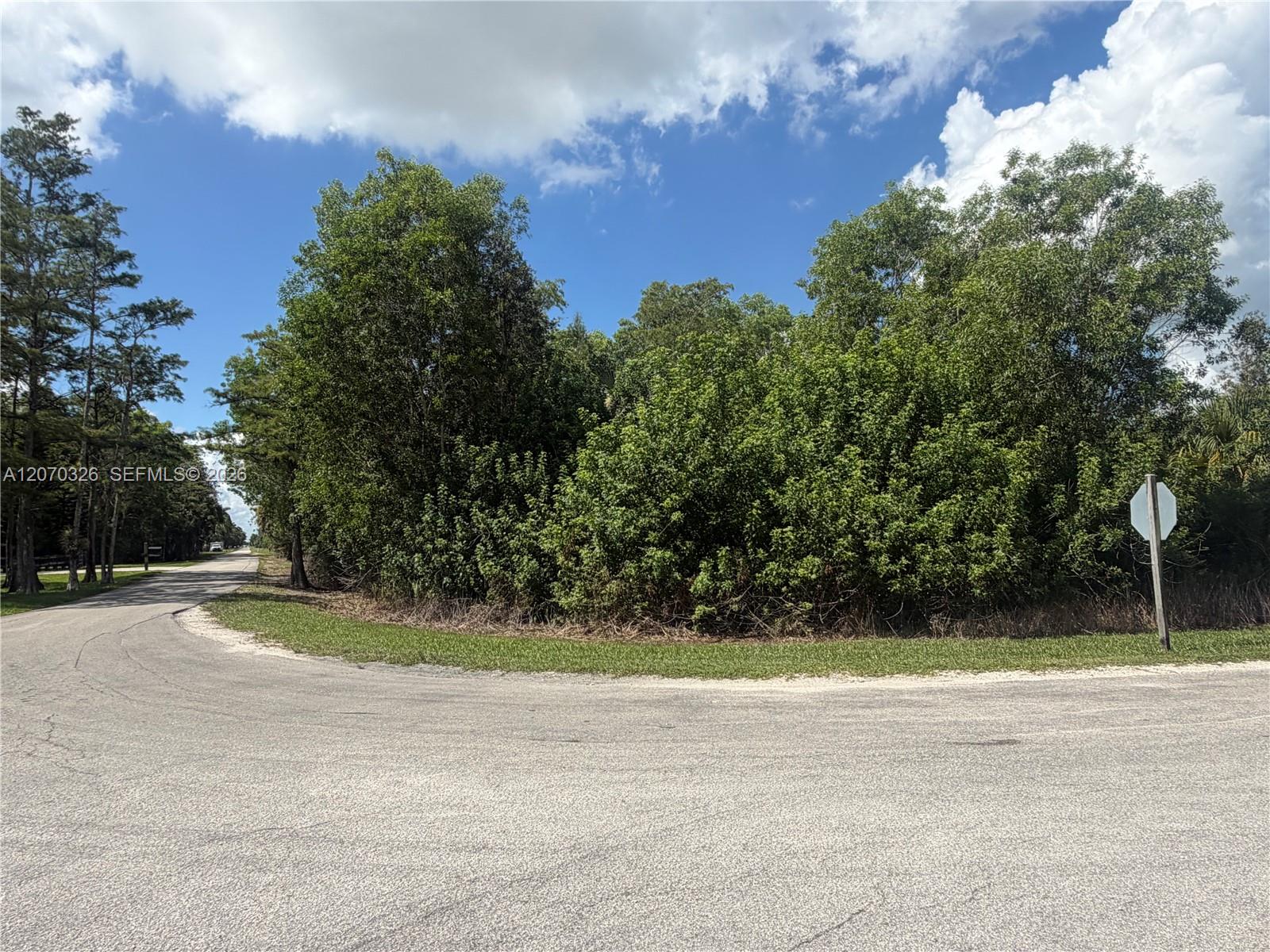 19556 Black Falcon Road Property Photo 4