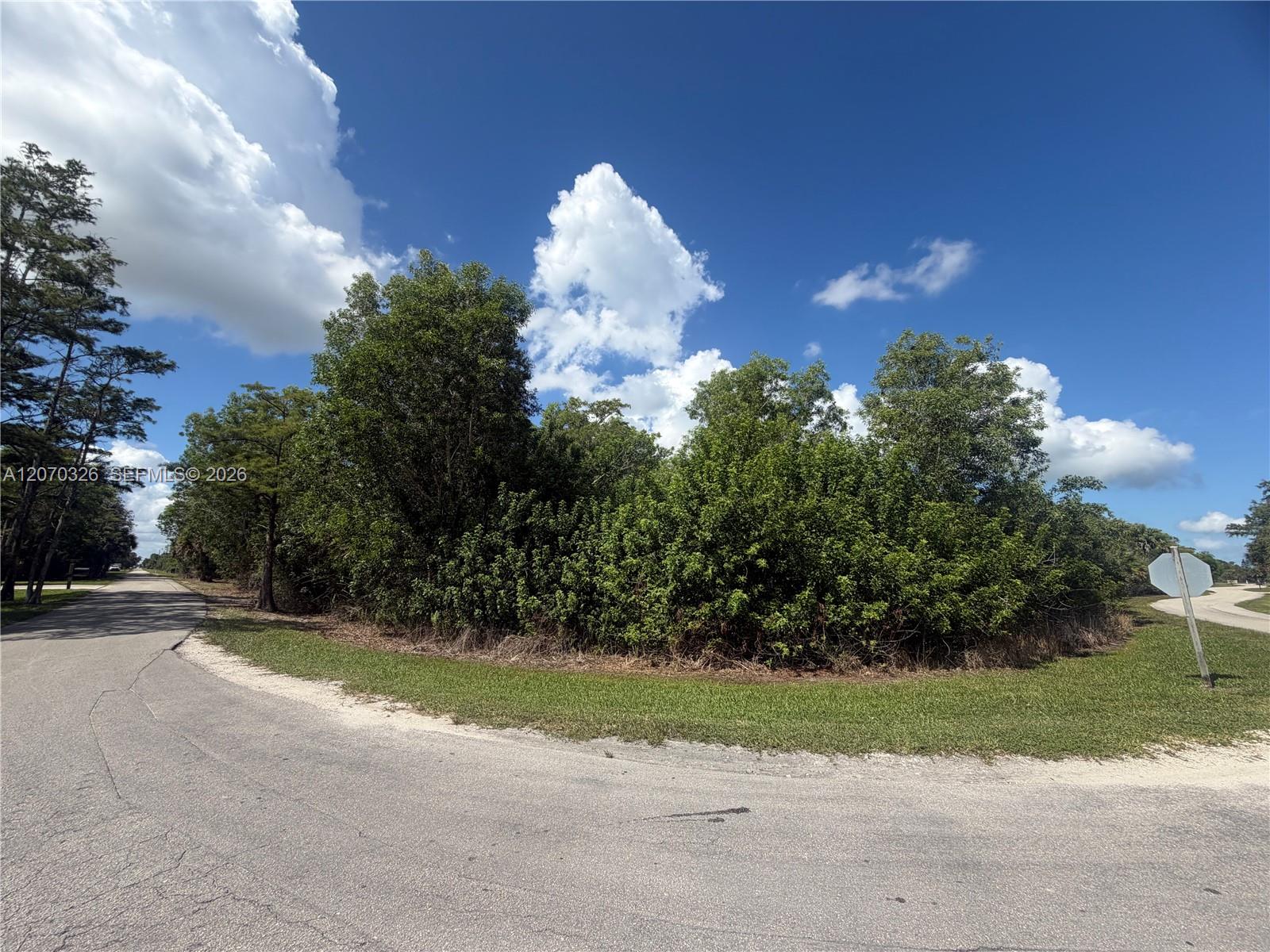 19556 Black Falcon Road Property Photo 8