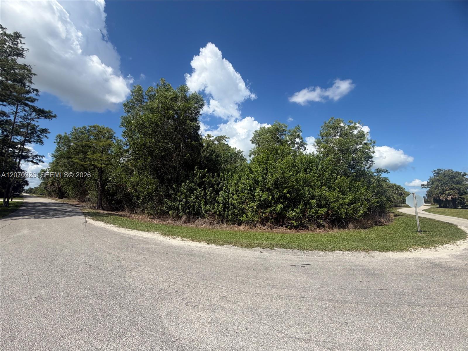 19556 Black Falcon Road Property Photo 9