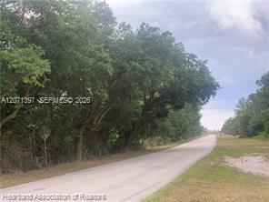 615 Wildflower Street Property Photo 2