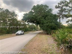 615 Wildflower Street Property Photo 5