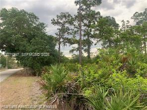 615 Wildflower Street Property Photo 6
