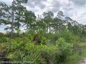 615 Wildflower Street Property Photo 7