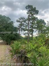 615 Wildflower Street Property Photo 10