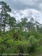 615 Wildflower Street Property Photo 11